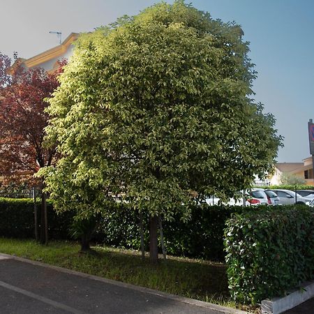 Fele'S House Apartment Guidonia Montecelio Exterior photo